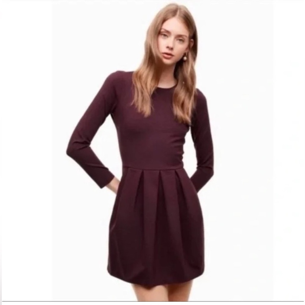 Aritzia Talula Fit & Flare Skater Dress Burgundy Plum XS